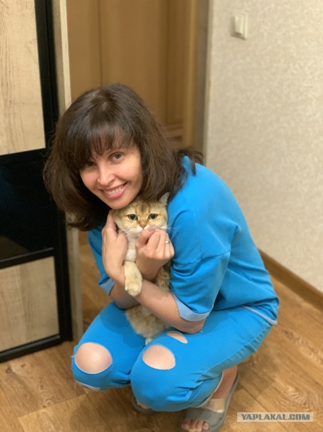 Сегодня только КОТовторник....