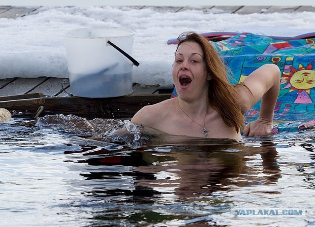 Животные бывают разные