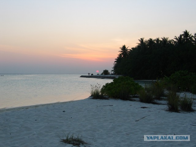Лета пост.