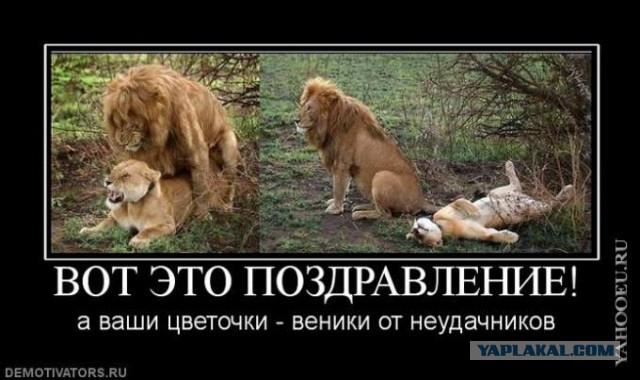 Любовь и веник
