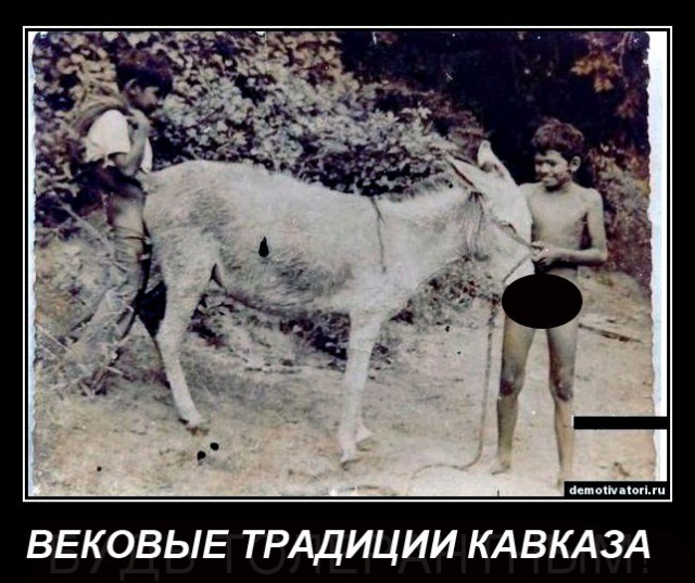 Звери изнасиловали собаку.