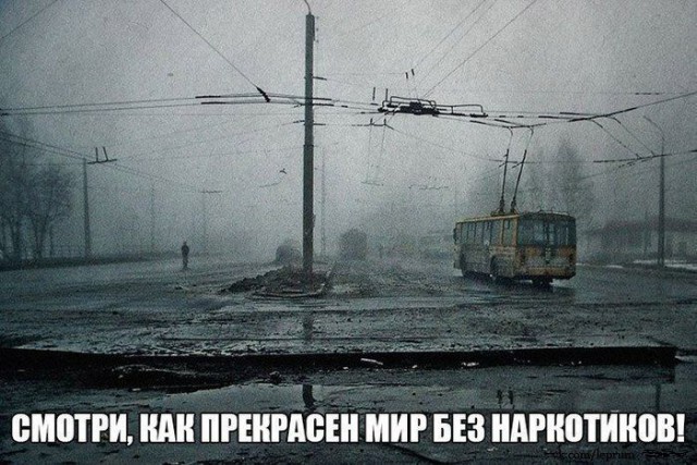 "Просто дорога до универа..."