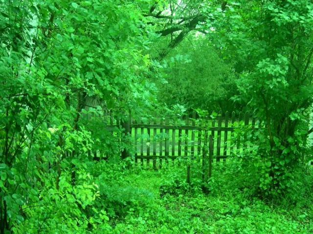 "Я работаю с полнейшими идиотами..."