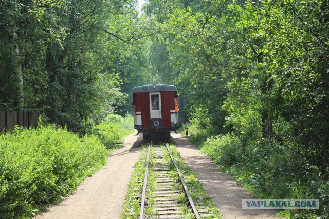 Московская детская железная дорога.
