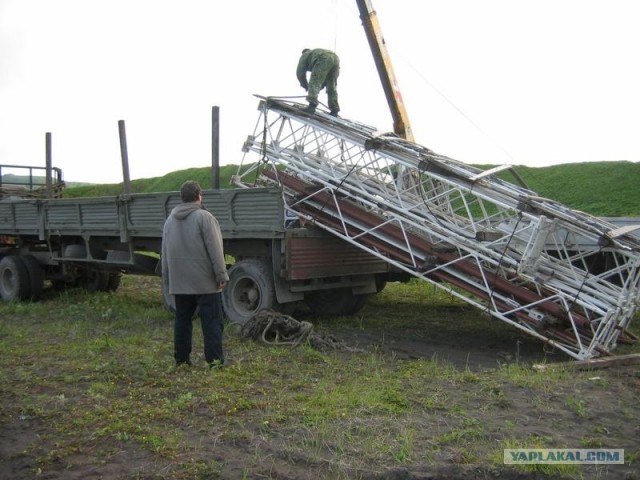 Подсолнух