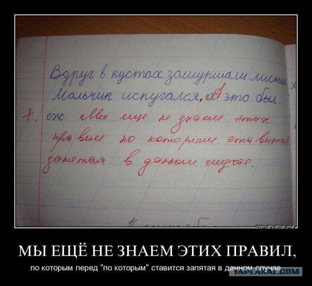Об образовании в Канаде и домашней работе