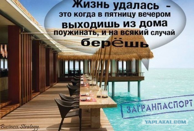 Забавные картинки из Сети