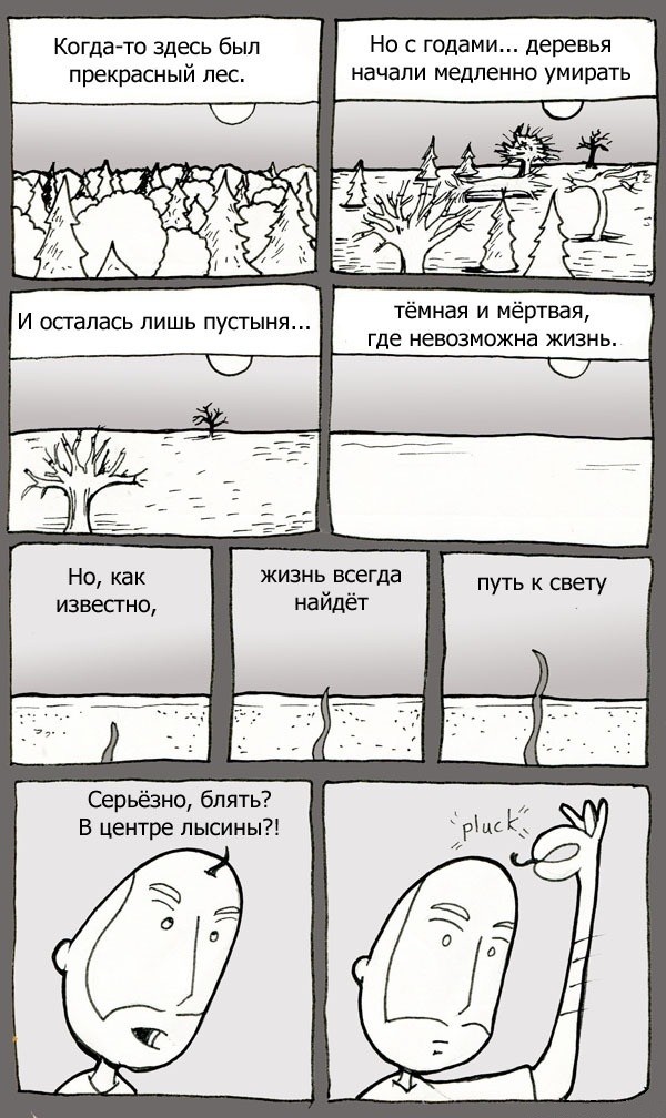 Жизнь всегда найдёт путь к свету!