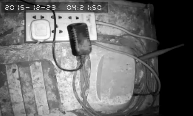 За что я люблю китайцев