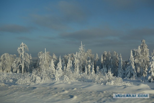 Зимняя сказка в Пермском крае (Россия,январь 2016)