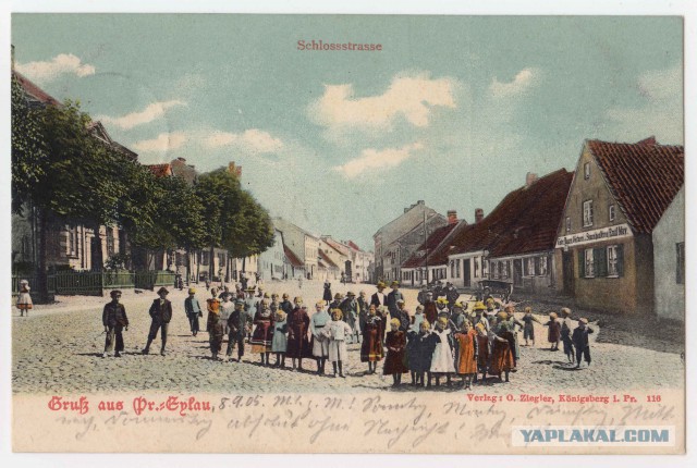 Крякнет ли серый гусь?