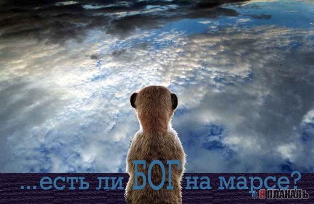 МЕГАПОДБОРКА