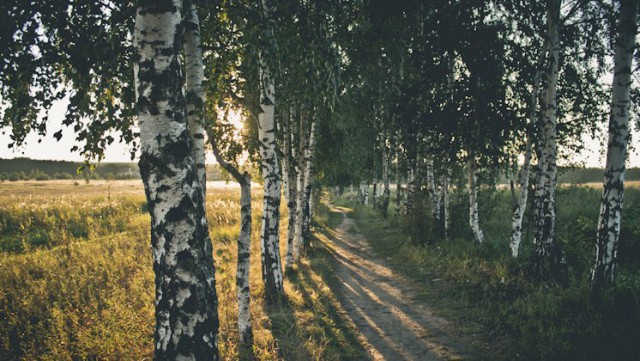 Подборка "тёплых, уютных, домашних" фотографий. Часть 8