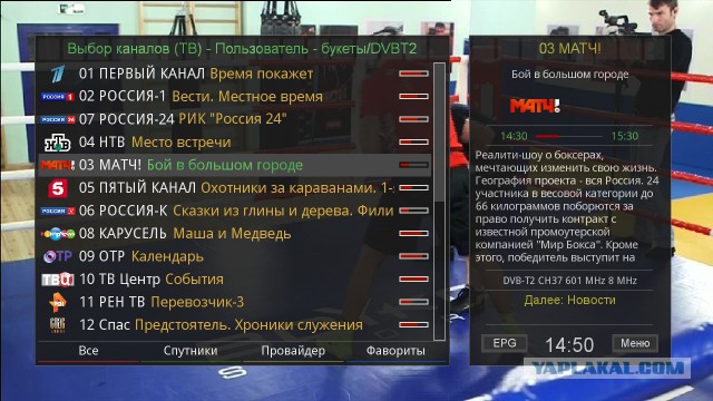 "Спасибо", Триколор!