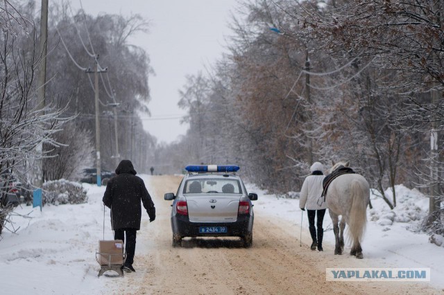 Долгопрудный (фото)