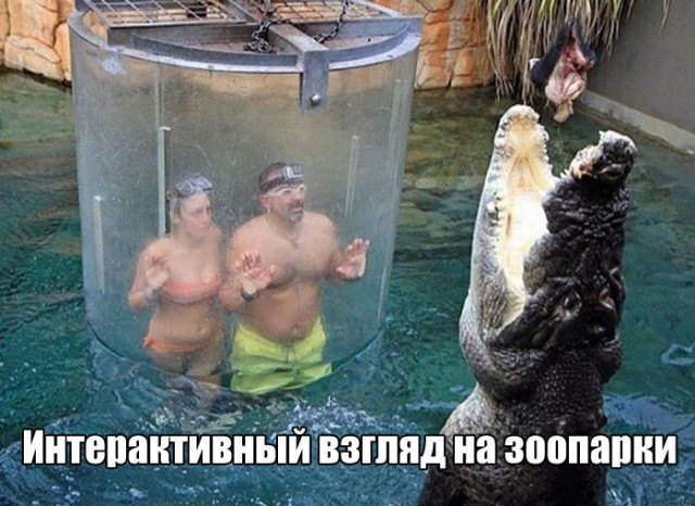 Подборка безудержного веселья