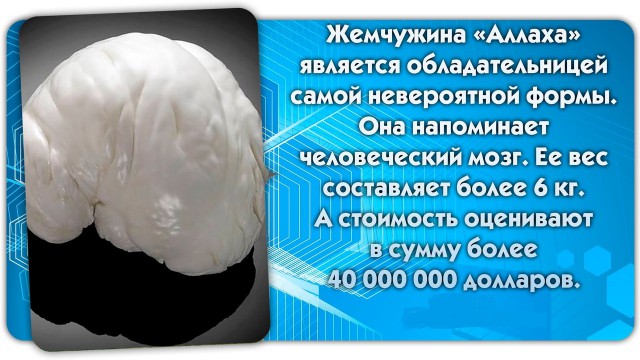 56 неожиданных фактов о большинстве которых вы не знали.