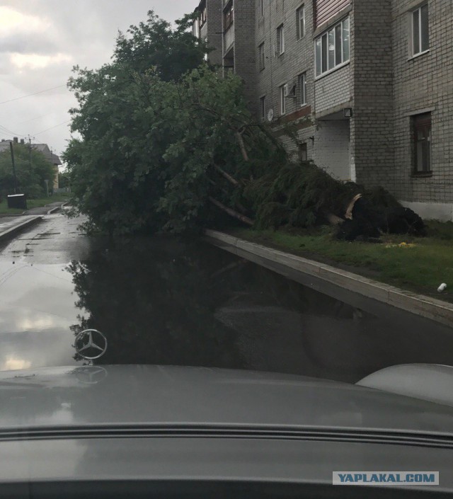 Последствия урагана на юге Тюменской области. Заводоуковск 18.06.2017