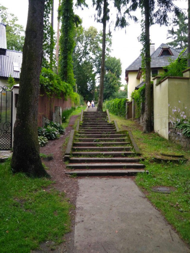 Летний Калининград