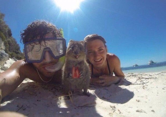 Подборка интересных и веселых картинок