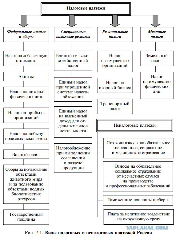 Не такой уж я и тунеядец, как оказалось!