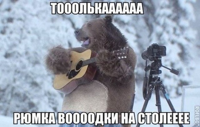 Итоги проверки пользователей