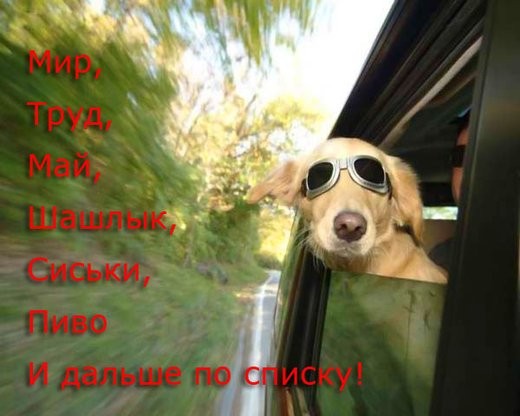 Поздравляю