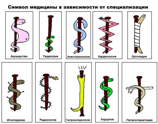 10 минут медицинской деградации заменяют 136 грамм сметаны