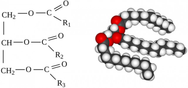 Подкатил к Ашану, называется... Бесчеловечности пост
