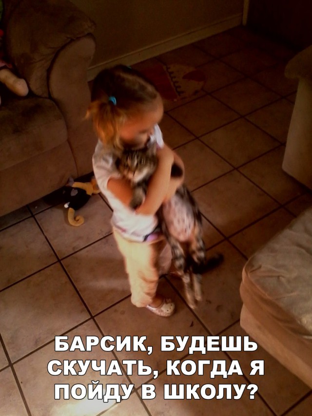 Прикольные картинки обо всем