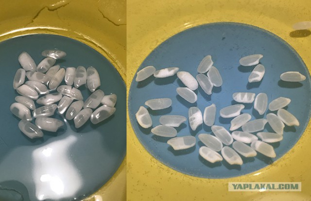 Сборная рисмяс