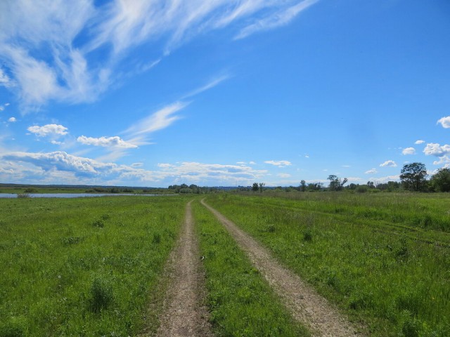 Красота сельских дорог