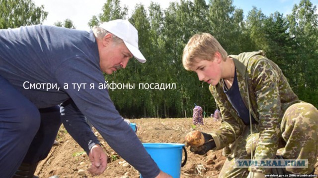 Водитель доказал в суде, что драник не является мобильным телефоном