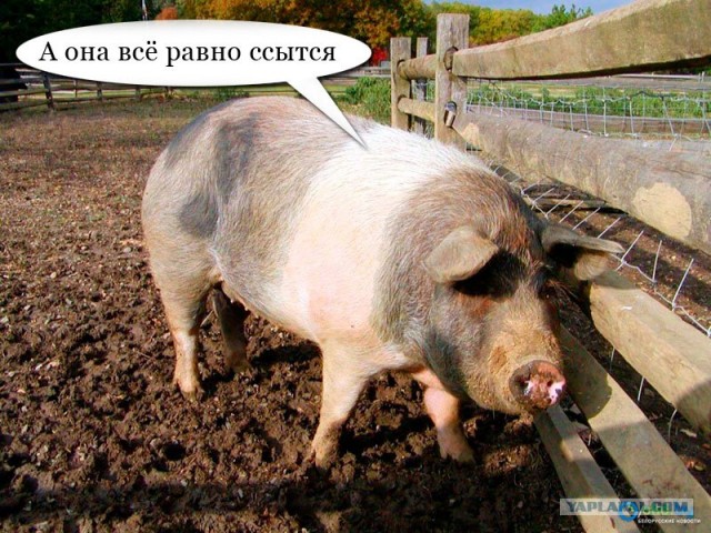 Отдел кадров... ой, HR