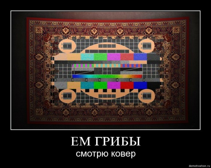 Грибной пост