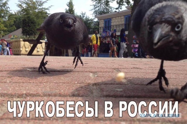 Чуток картинок не про вирус