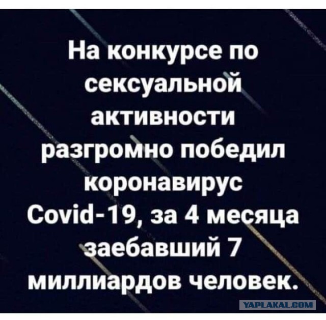 Немного картинок для настроения 28.05.20