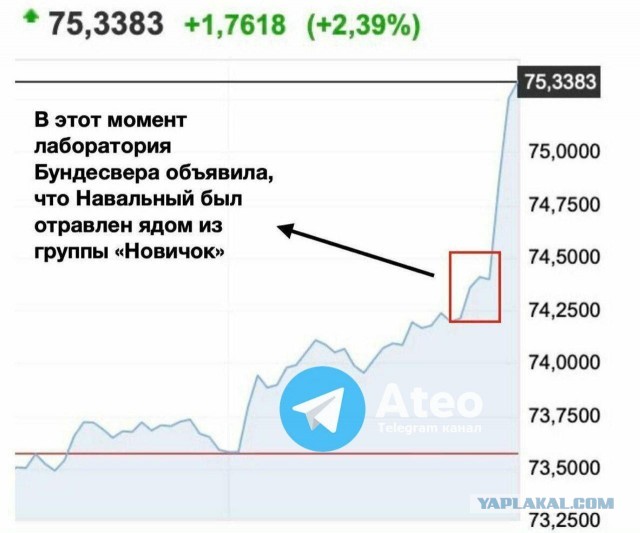 Правительство Германии: Навальный был отравлен ядом, схожим с «Новичком»