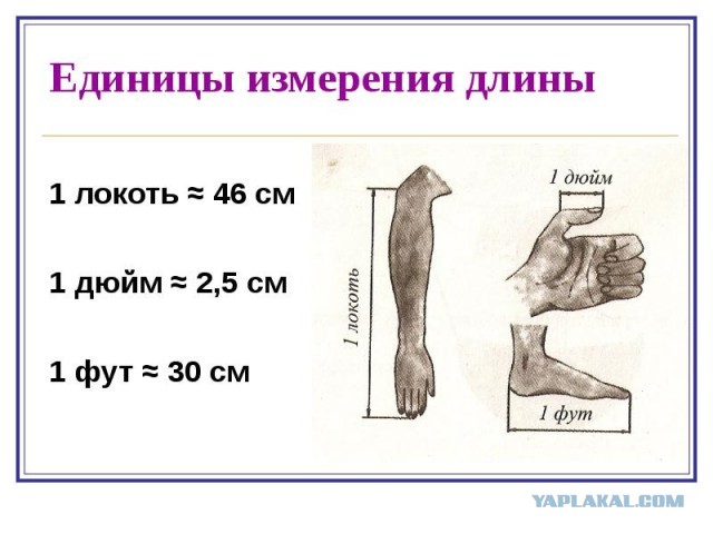Вчера убедился, насколько отупел народ