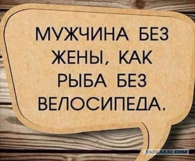 Что женщины думают про холостяков