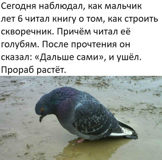 Сегодня совсем лайтовенькие картинки