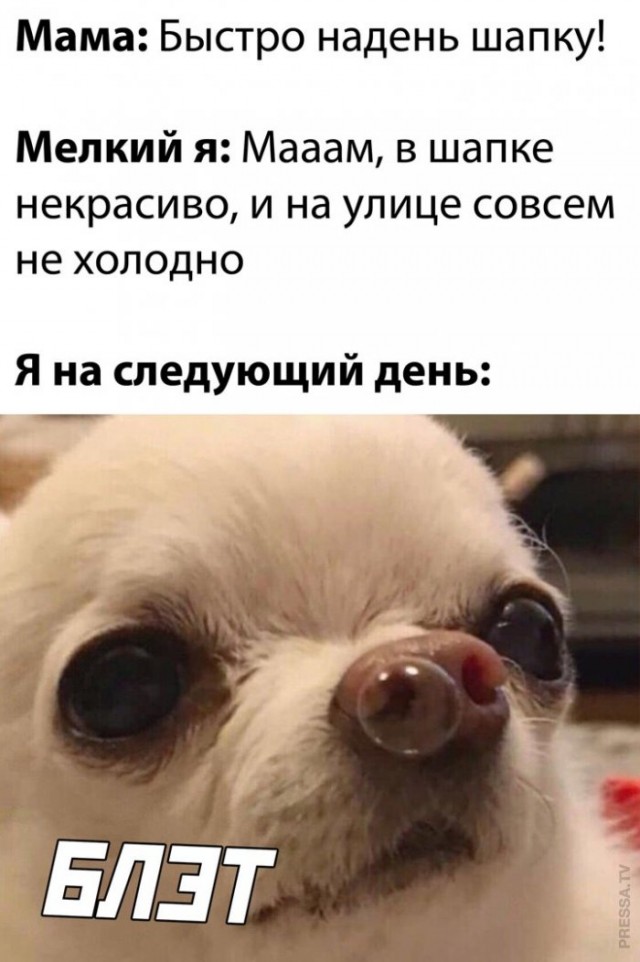 Картинки и мемы для настроения 018
