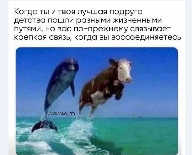 Картинки и мемы для настроения 008