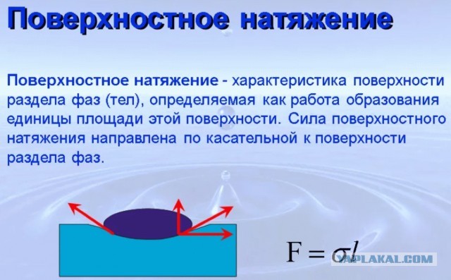 8 явлений в кино, которые Голливуд показывает неправильно