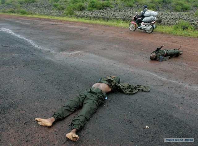 Война в конго