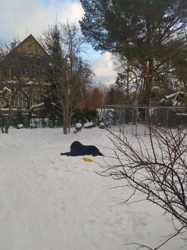 Первое января глазами непьющего человека