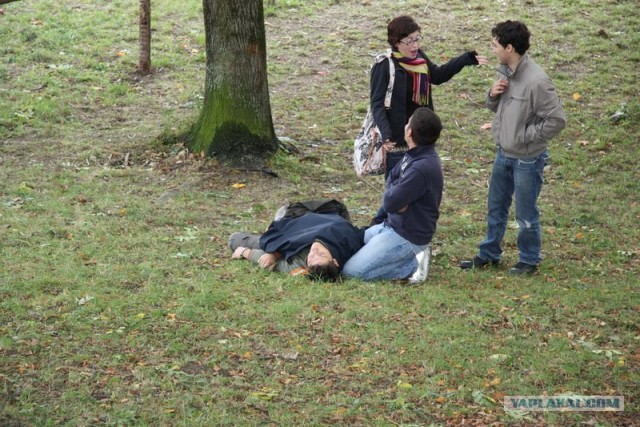 Похождения падонков