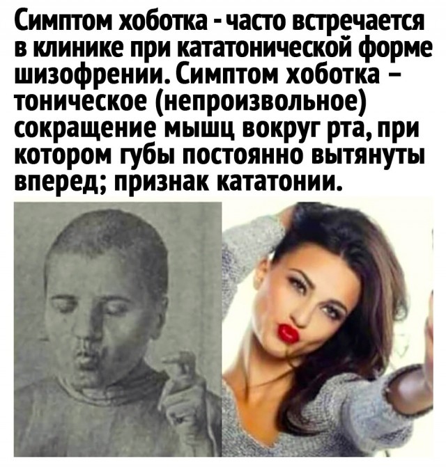Так себе картинки 08.04.22