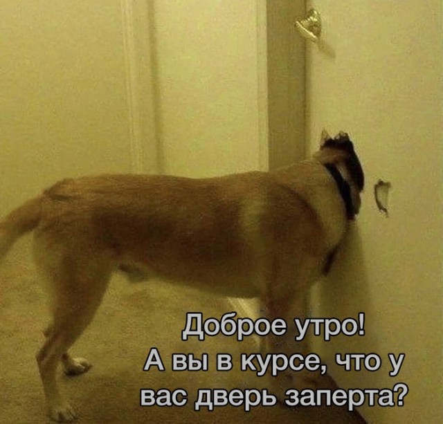 Так себе картинки 15.05.22