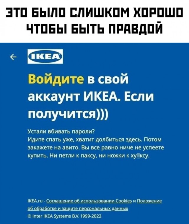 Весёлый полтишок 08.07.22